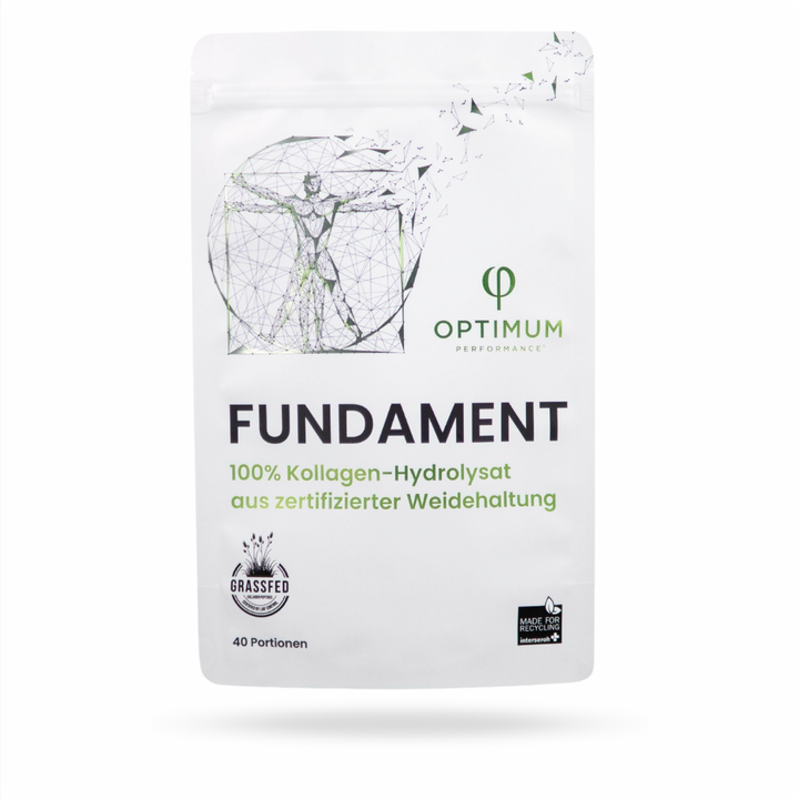 FUNDAMENT