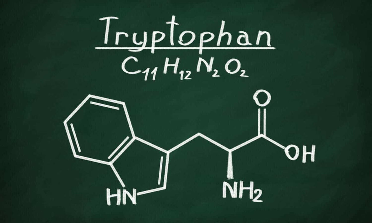 Die Bedeutung von Tryptophan: Die unverzichtbare Aminosäure