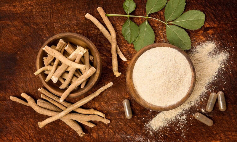 Ashwagandha: Die Superpflanze! Darum solltest Du sie kennen.
