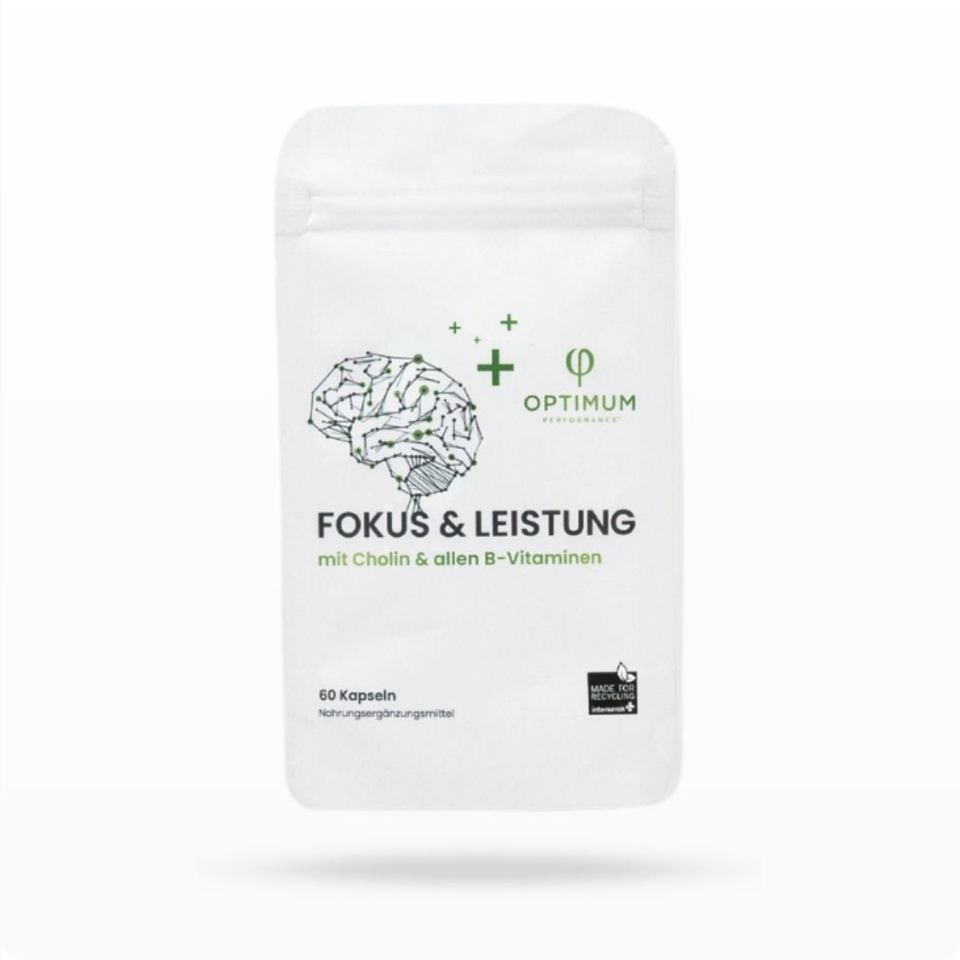 🎁 FOKUS & LEISTUNG (100% off)