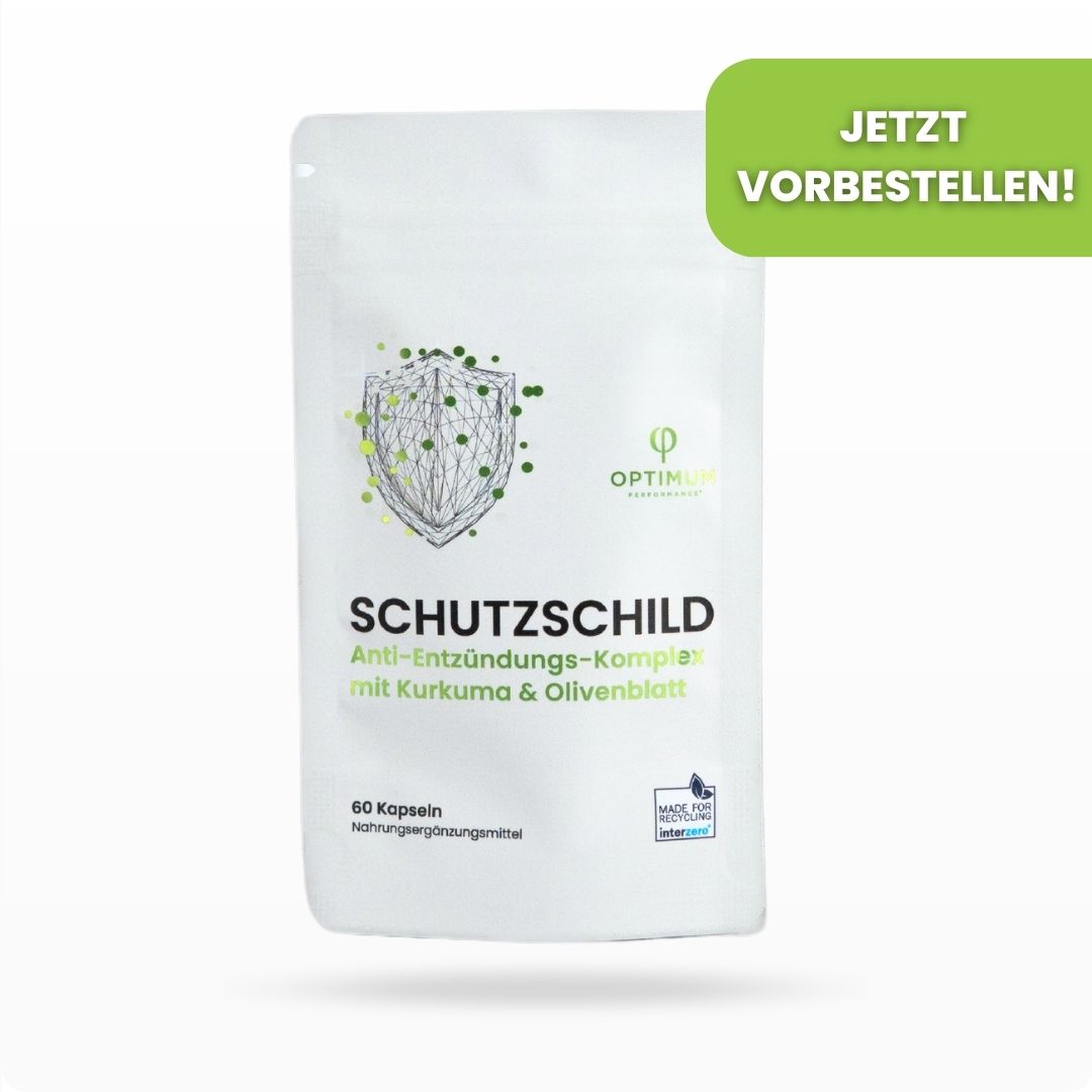 SCHUTZSCHILD