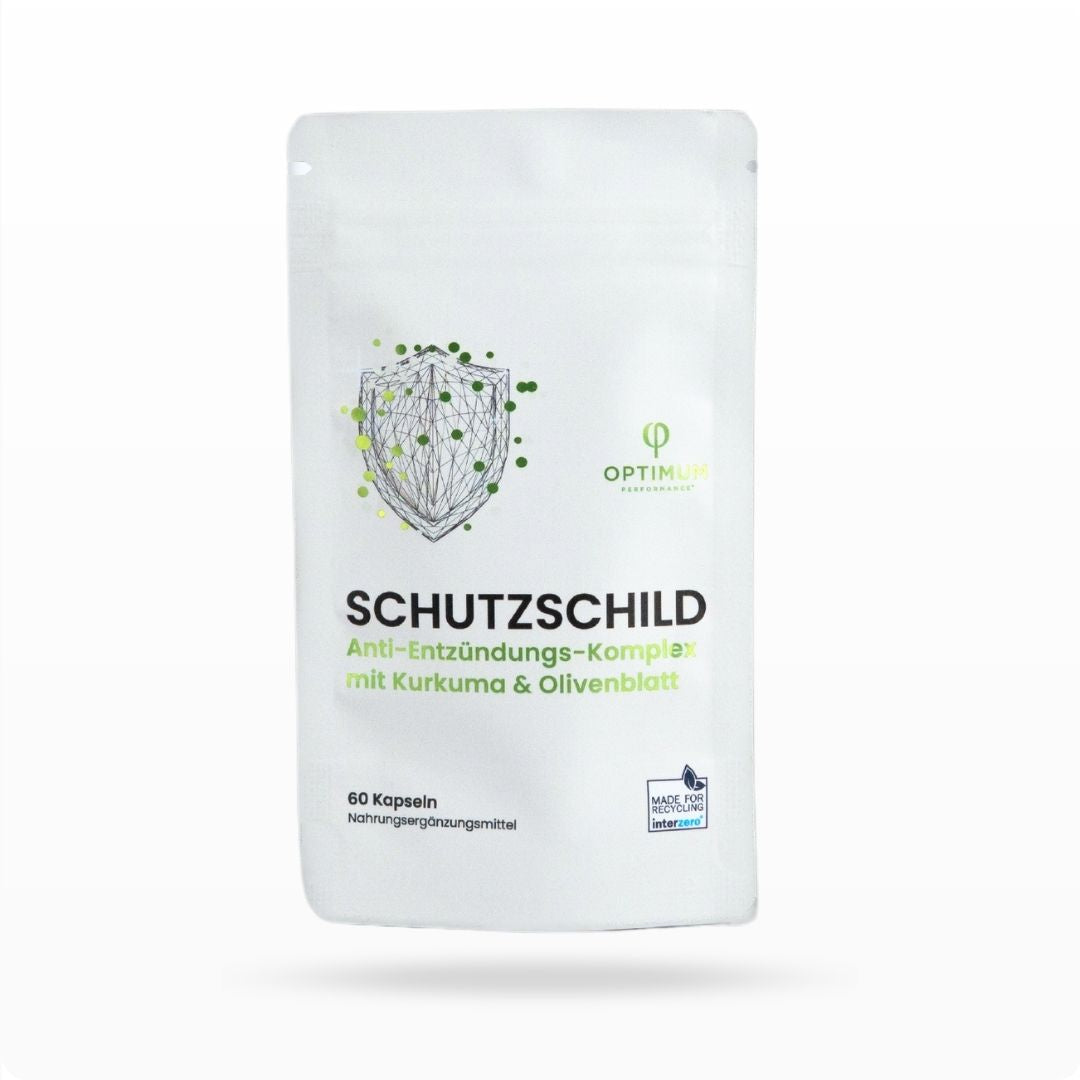 SCHUTZSCHILD